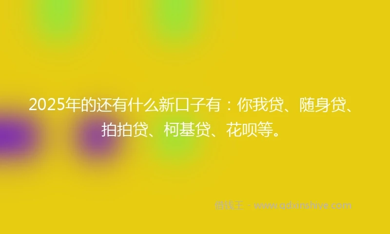 2025年的还有什么新口子有：你我贷、随身贷、拍拍贷、柯基贷、花呗等。