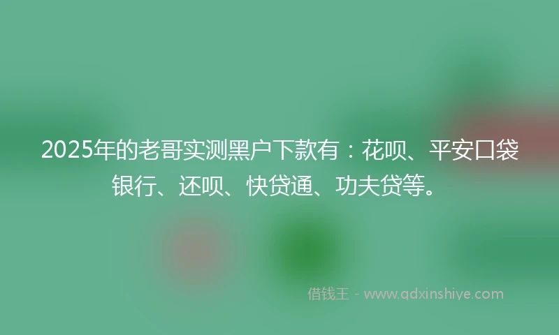 2025年的老哥实测黑户下款有：花呗、平安口袋银行、还呗、快贷通、功夫贷等。
