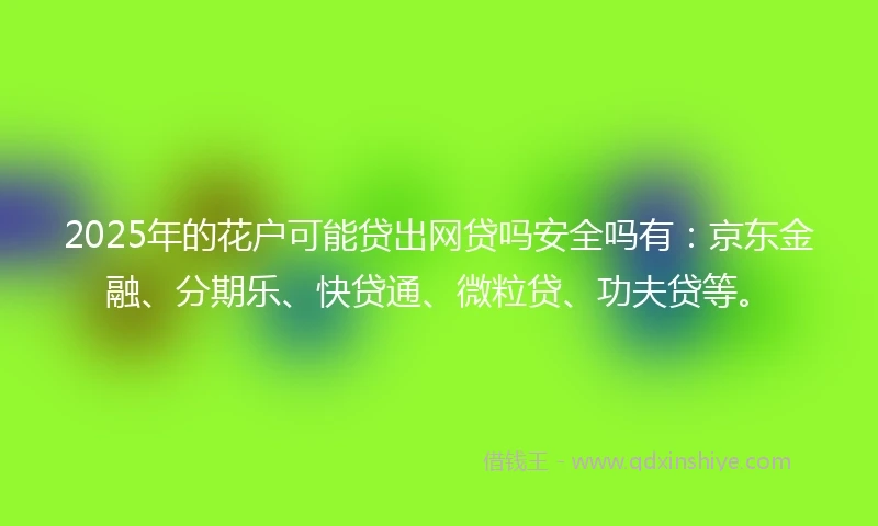 2025年的花户可能贷出网贷吗安全吗有：京东金融、分期乐、快贷通、微粒贷、功夫贷等。