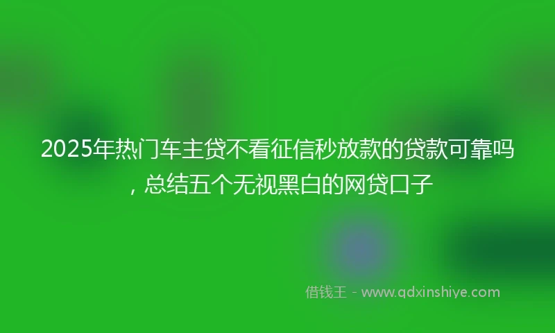 2025年热门车主贷不看征信秒放款的贷款可靠吗，总结五个无视黑白的网贷口子