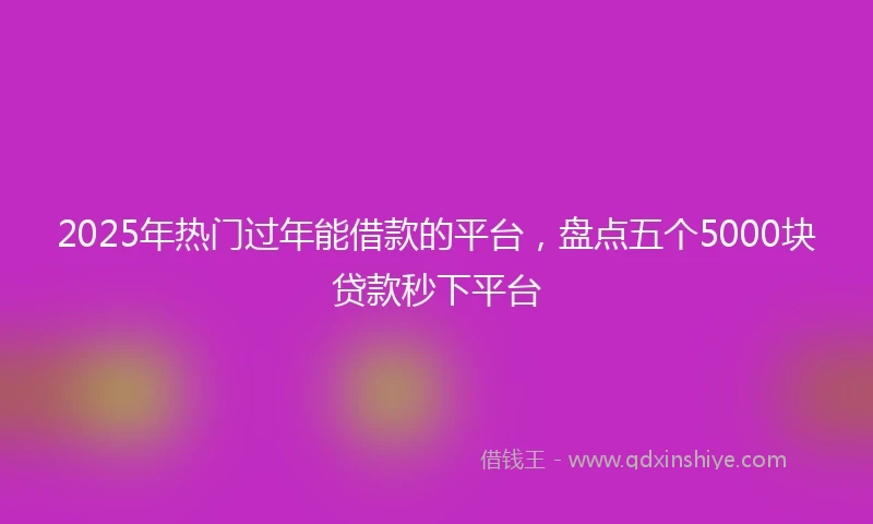 2025年热门过年能借款的平台，盘点五个5000块贷款秒下平台