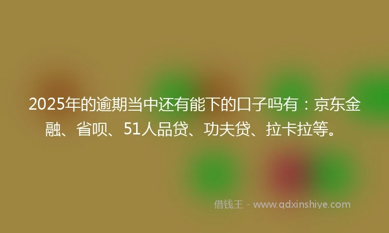 2025年的逾期当中还有能下的口子吗有：京东金融、省呗、51人品贷、功夫贷、拉卡拉等。