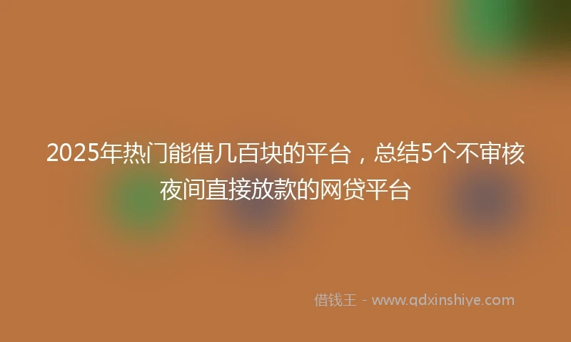 2025年热门能借几百块的平台，总结5个不审核夜间直接放款的网贷平台