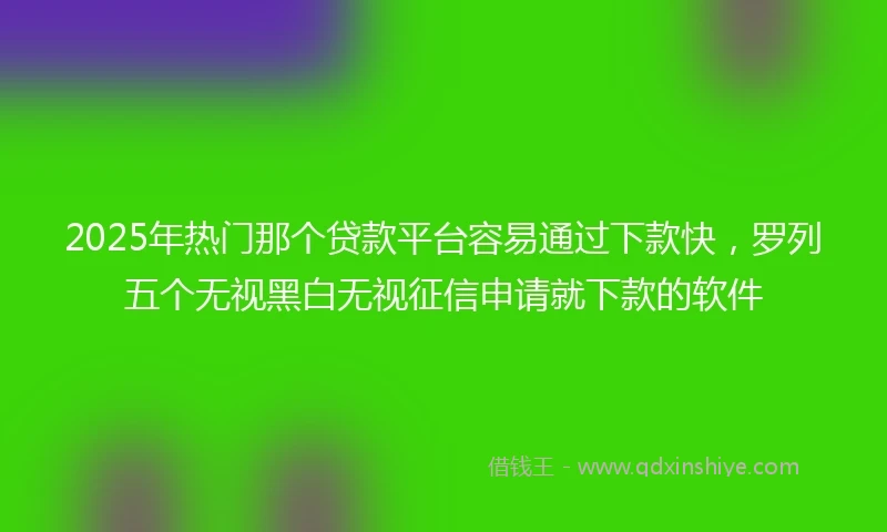 2025年热门那个贷款平台容易通过下款快，罗列五个无视黑白无视征信申请就下款的软件