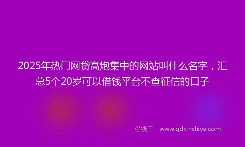 2025年热门网贷高炮集中的网站叫什么名字，汇总5个20岁可以借钱平台不查征信的口子
