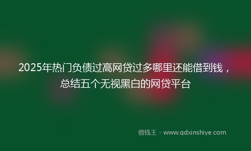 2025年热门负债过高网贷过多哪里还能借到钱，总结五个无视黑白的网贷平台