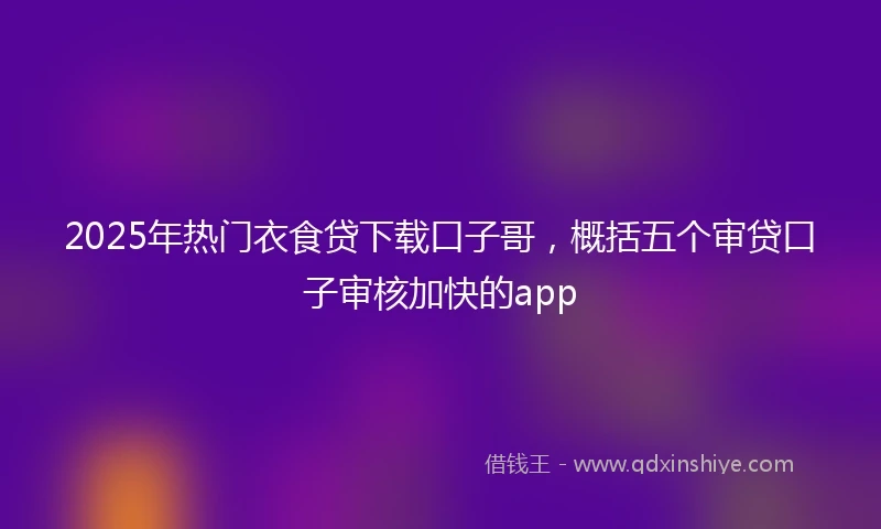 2025年热门衣食贷下载口子哥，概括五个审贷口子审核加快的app
