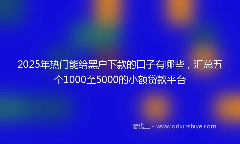 2025年热门能给黑户下款的口子有哪些，汇总五个1000至5000的小额贷款平台