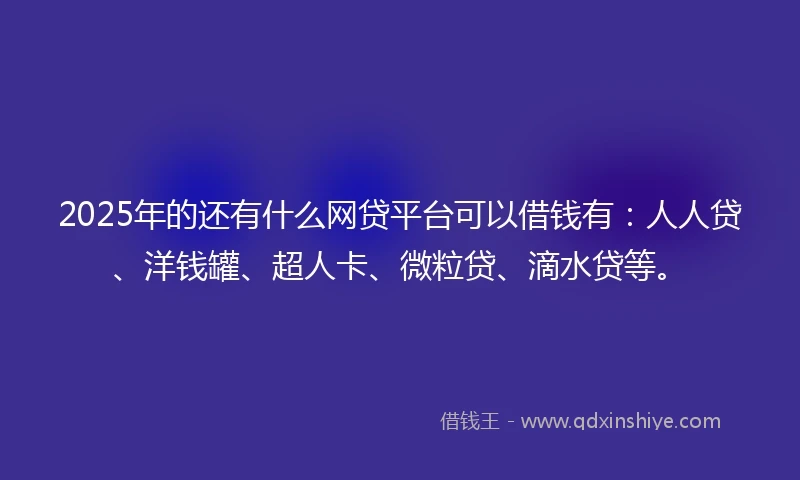 2025年的还有什么网贷平台可以借钱有：人人贷、洋钱罐、超人卡、微粒贷、滴水贷等。