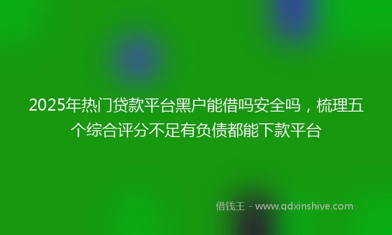 2025年热门贷款平台黑户能借吗安全吗，梳理五个综合评分不足有负债都能下款平台