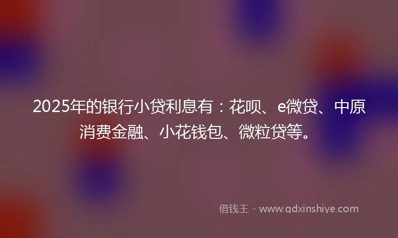 2025年的银行小贷利息有：花呗、e微贷、中原消费金融、小花钱包、微粒贷等。