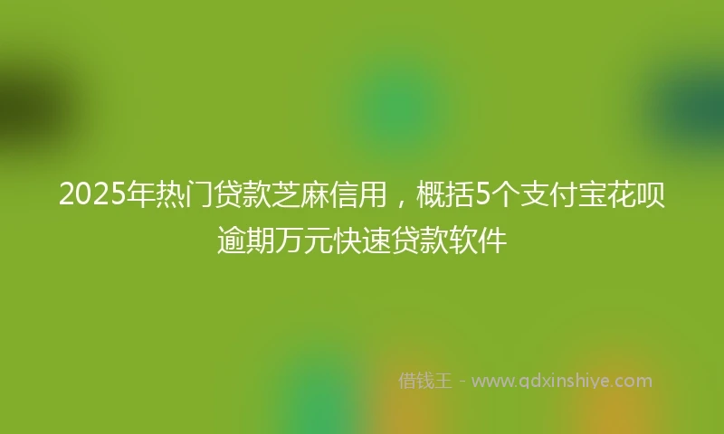 2025年热门贷款芝麻信用，概括5个支付宝花呗逾期万元快速贷款软件