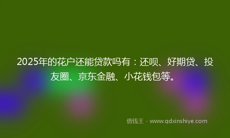 2025年的花户还能贷款吗有：还呗、好期贷、投友圈、京东金融、小花钱包等。