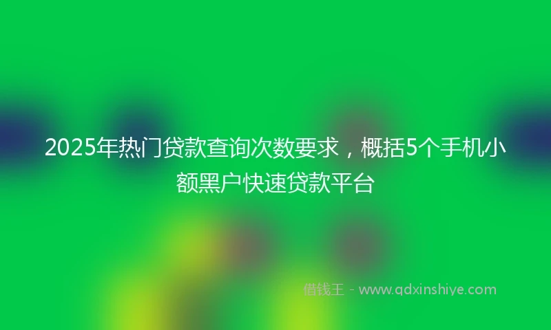 2025年热门贷款查询次数要求，概括5个手机小额黑户快速贷款平台