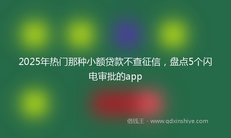 2025年热门那种小额贷款不查征信，盘点5个闪电审批的app