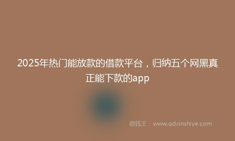 2025年热门能放款的借款平台，归纳五个网黑真正能下款的app