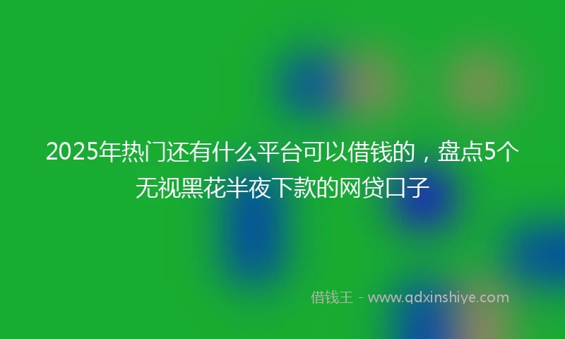 2025年热门还有什么平台可以借钱的，盘点5个无视黑花半夜下款的网贷口子