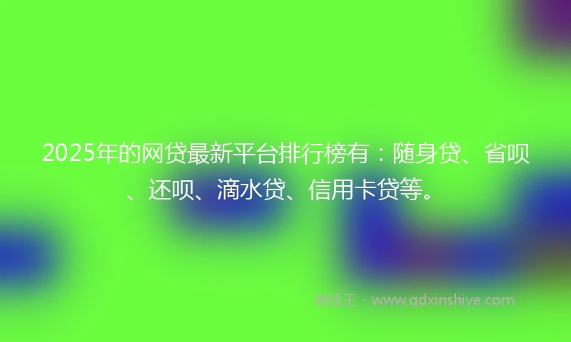 2025年的网贷最新平台排行榜有：随身贷、省呗、还呗、滴水贷、信用卡贷等。