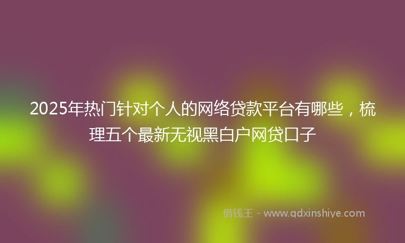 2025年热门针对个人的网络贷款平台有哪些,梳理五个最新无视黑白户网贷口子