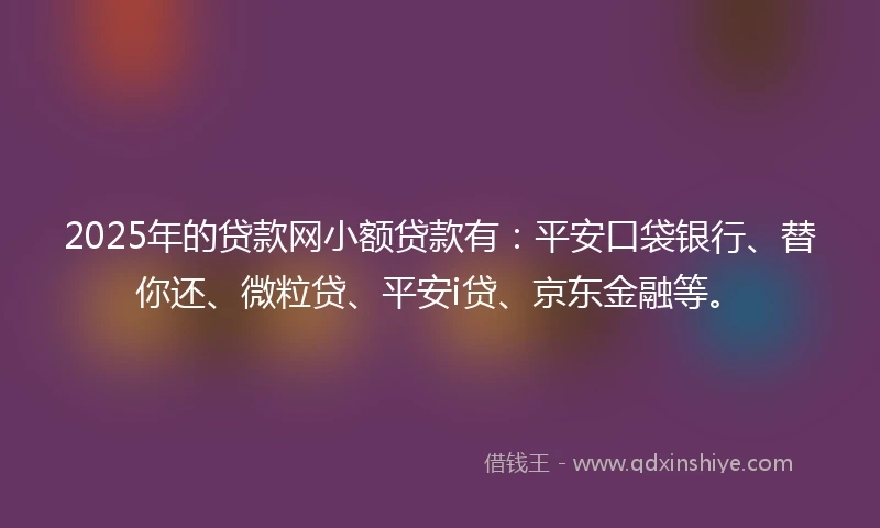 2025年的贷款网小额贷款有：平安口袋银行、替你还、微粒贷、平安i贷、京东金融等。