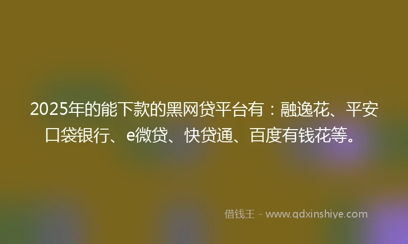 2025年的能下款的黑网贷平台有：融逸花、平安口袋银行、e微贷、快贷通、百度有钱花等。