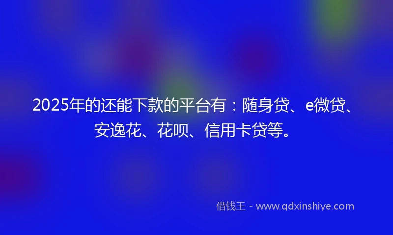 2025年的还能下款的平台有：随身贷、e微贷、安逸花、花呗、信用卡贷等。