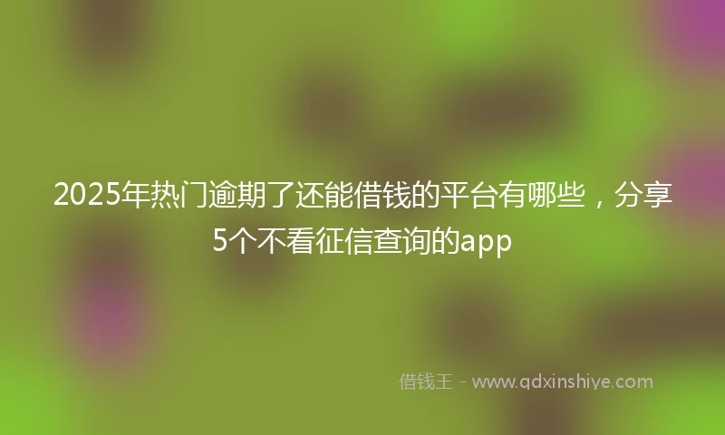 2025年热门逾期了还能借钱的平台有哪些，分享5个不看征信查询的app