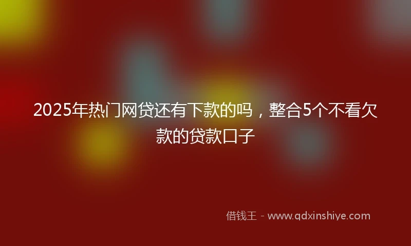 2025年热门网贷还有下款的吗，整合5个不看欠款的贷款口子