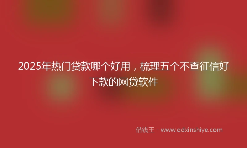 2025年热门贷款哪个好用，梳理五个不查征信好下款的网贷软件