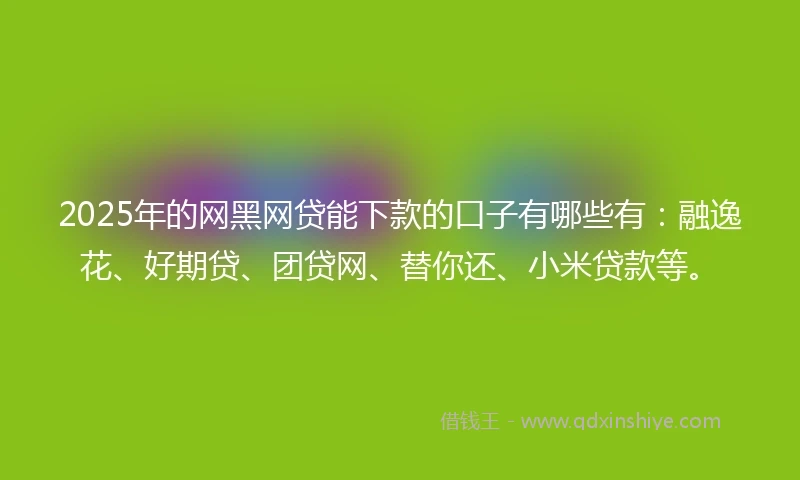 2025年的网黑网贷能下款的口子有哪些有：融逸花、好期贷、团贷网、替你还、小米贷款等。