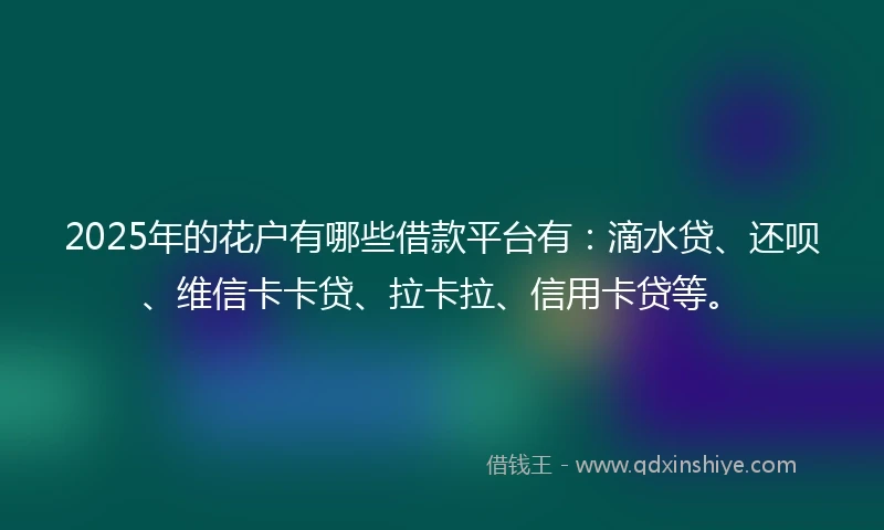 2025年的花户有哪些借款平台有：滴水贷、还呗、维信卡卡贷、拉卡拉、信用卡贷等。