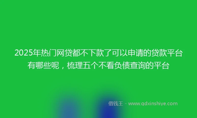 2025年热门网贷都不下款了可以申请的贷款平台有哪些呢，梳理五个不看负债查询的平台