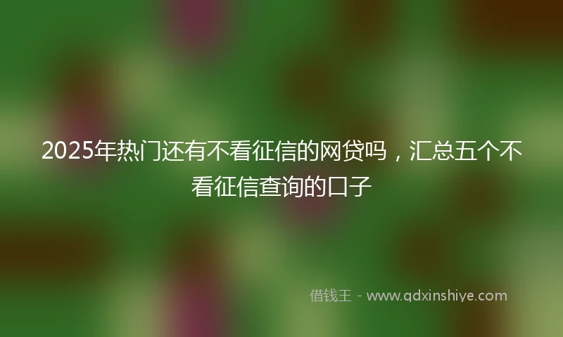 2025年热门还有不看征信的网贷吗，汇总五个不看征信查询的口子