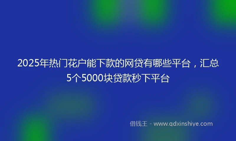 2025年热门花户能下款的网贷有哪些平台，汇总5个5000块贷款秒下平台