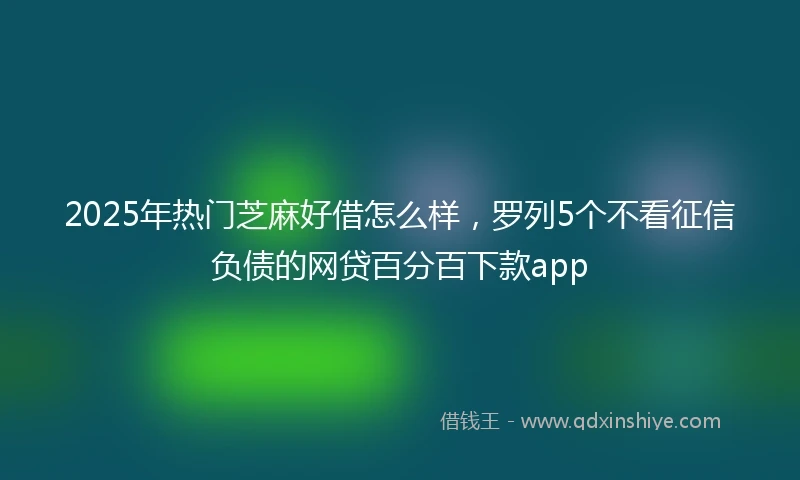 2025年热门芝麻好借怎么样，罗列5个不看征信负债的网贷百分百下款app