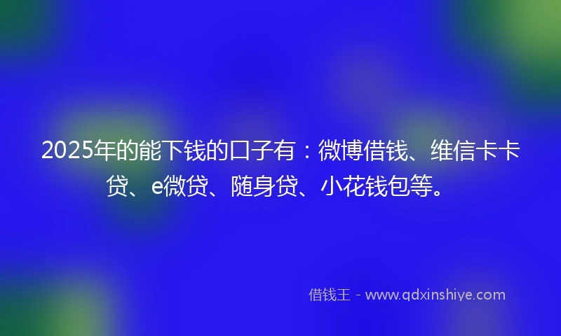 2025年的能下钱的口子有：微博借钱、维信卡卡贷、e微贷、随身贷、小花钱包等。