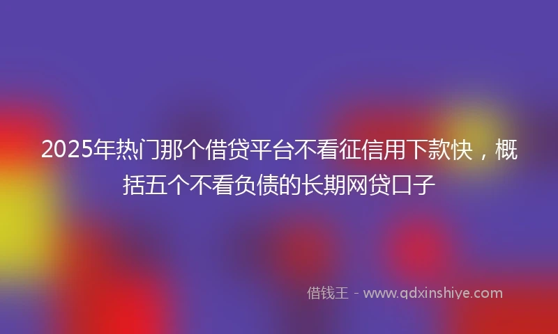 2025年热门那个借贷平台不看征信用下款快，概括五个不看负债的长期网贷口子