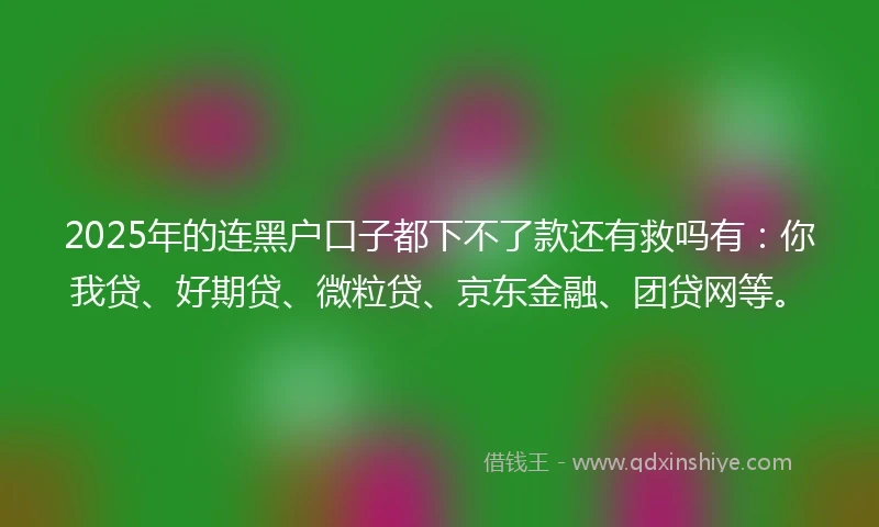 2025年的连黑户口子都下不了款还有救吗有：你我贷、好期贷、微粒贷、京东金融、团贷网等。