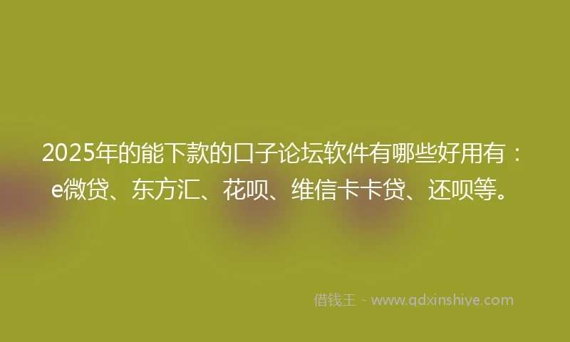 2025年的能下款的口子论坛软件有哪些好用有：e微贷、东方汇、花呗、维信卡卡贷、还呗等。