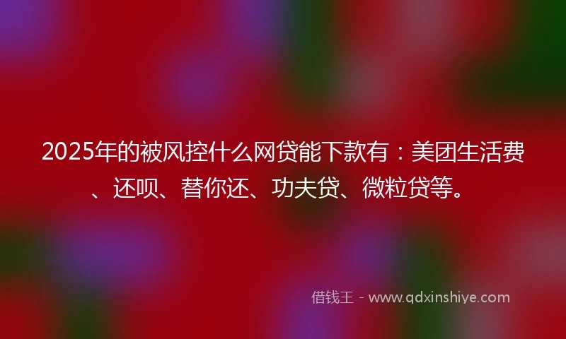 2025年的被风控什么网贷能下款有：美团生活费、还呗、替你还、功夫贷、微粒贷等。
