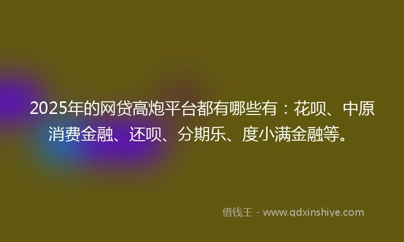 2025年的网贷高炮平台都有哪些有：花呗、中原消费金融、还呗、分期乐、度小满金融等。