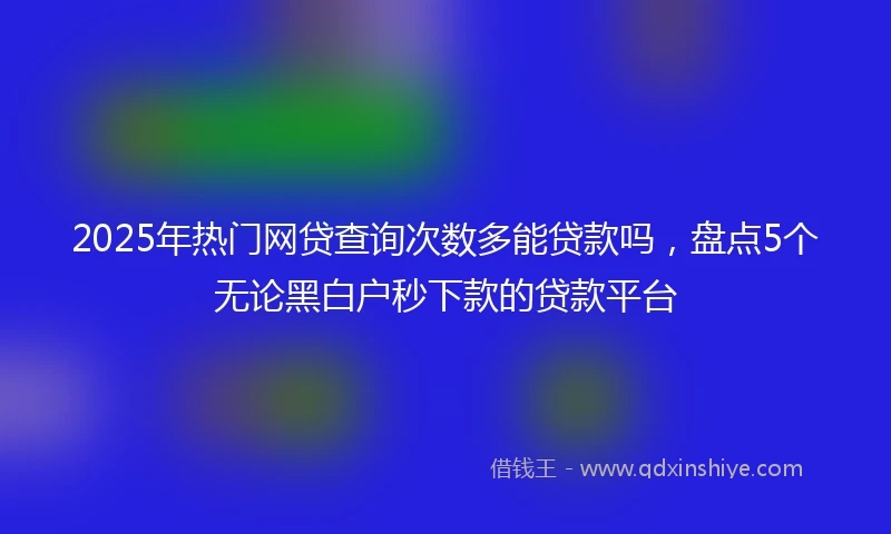 2025年热门网贷查询次数多能贷款吗，盘点5个无论黑白户秒下款的贷款平台
