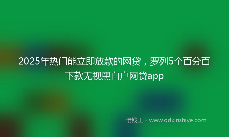 2025年热门能立即放款的网贷，罗列5个百分百下款无视黑白户网贷app