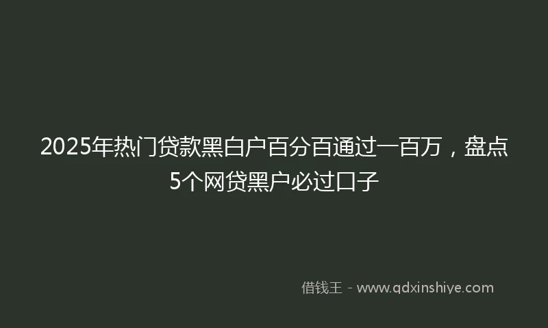 2025年热门贷款黑白户百分百通过一百万，盘点5个网贷黑户必过口子