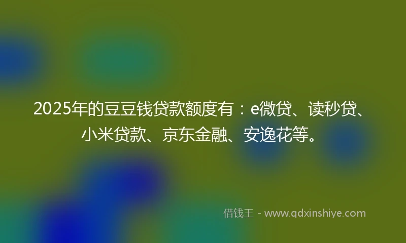 2025年的豆豆钱贷款额度有:e微贷、读秒贷、小米贷款、京东金融、安逸花等。