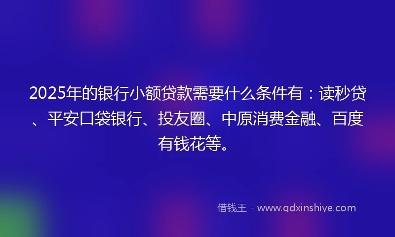 2025年的银行小额贷款需要什么条件有：读秒贷、平安口袋银行、投友圈、中原消费金融、百度有钱花等。