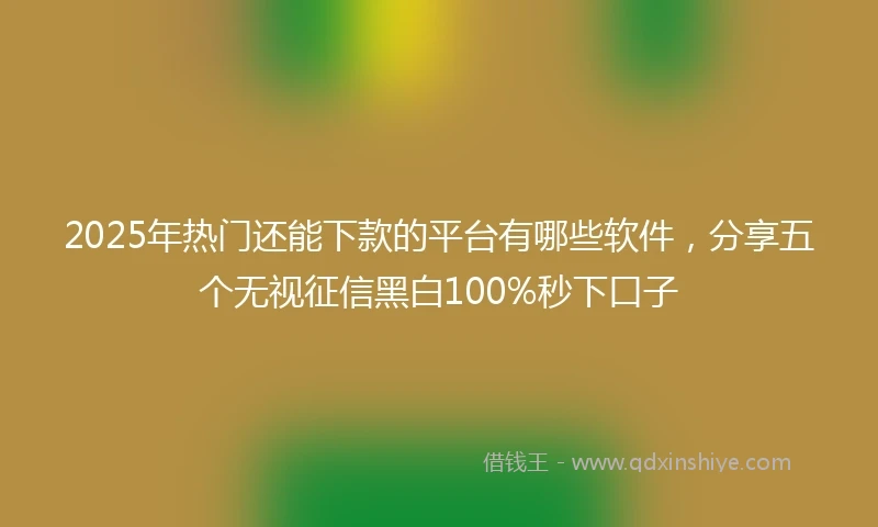 2025年热门还能下款的平台有哪些软件，分享五个无视征信黑白100%秒下口子