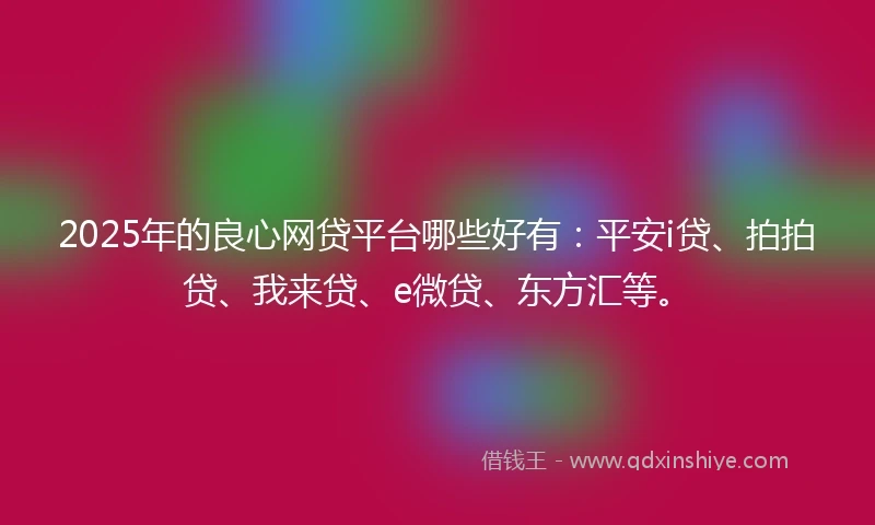 2025年的良心网贷平台哪些好有：平安i贷、拍拍贷、我来贷、e微贷、东方汇等。