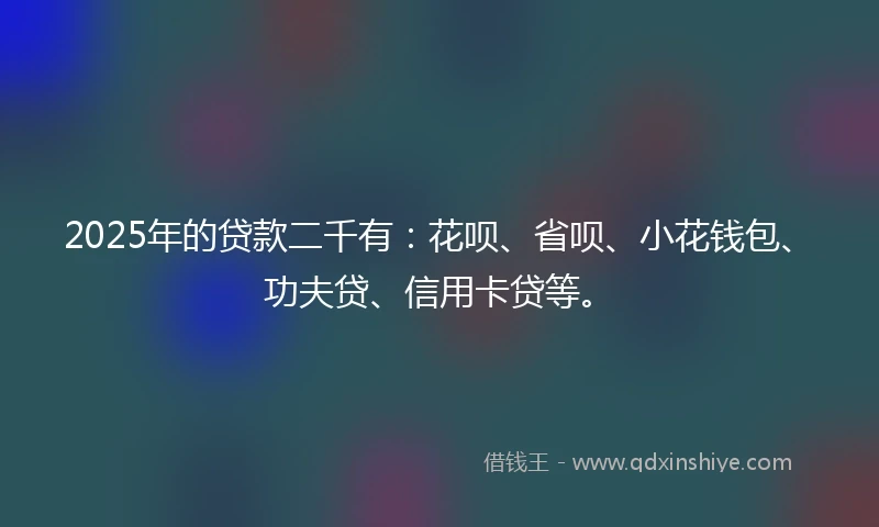 2025年的贷款二千有：花呗、省呗、小花钱包、功夫贷、信用卡贷等。