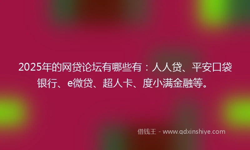 2025年的网贷论坛有哪些有：人人贷、平安口袋银行、e微贷、超人卡、度小满金融等。